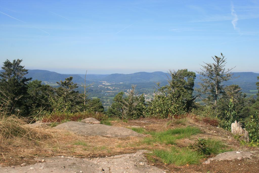 Village Vacances Cap France La Bolle Saint-Die-des-Vosges Dış mekan fotoğraf